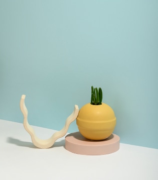 aboutpage content img 1.jpg